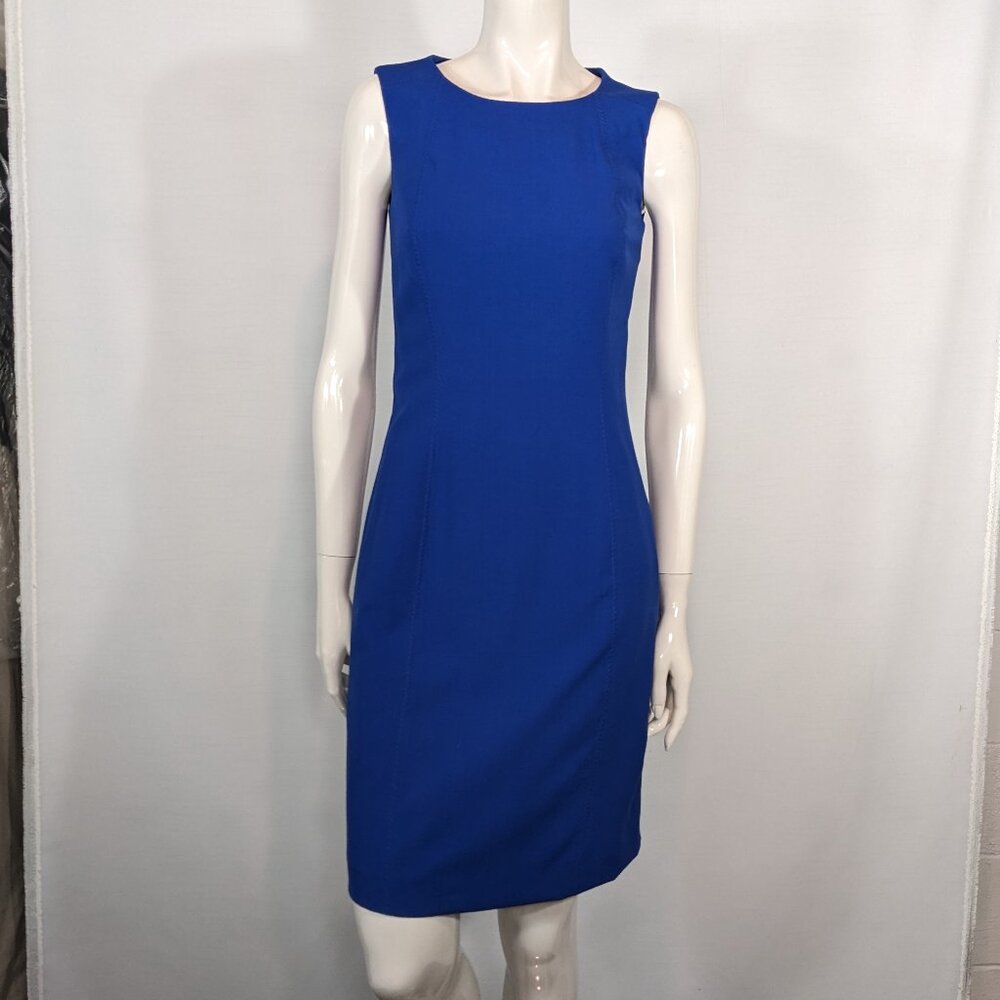Jessica Fitted Shift Dress (like new)